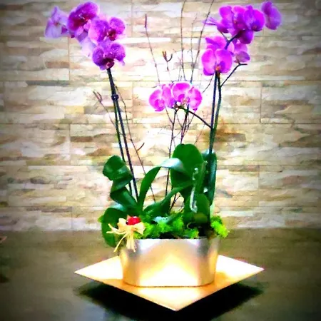 Apartamento Vivienda vacacional Puerto del Rosario (Fuerteventura)