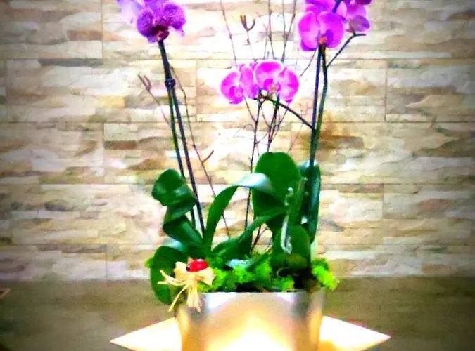 Appartement Vivienda Vacacional Puerto del Rosario (Fuerteventura)